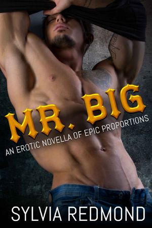 [Mr Big 01] • Mr. Big · An Erotic Novella of Epic Proportions